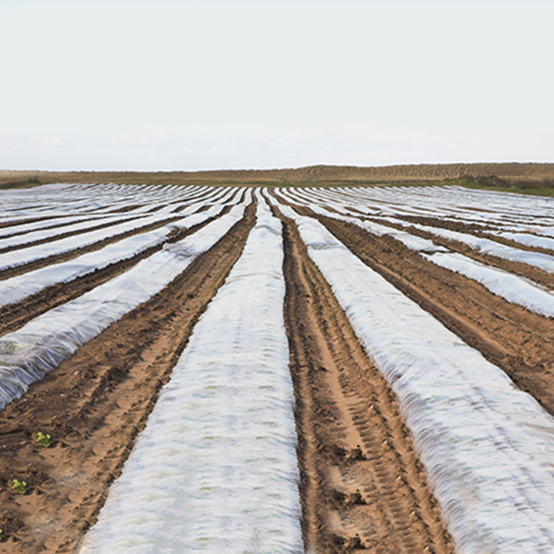 Ultra-weites Spleißen landwirtschaftlicher Stoff