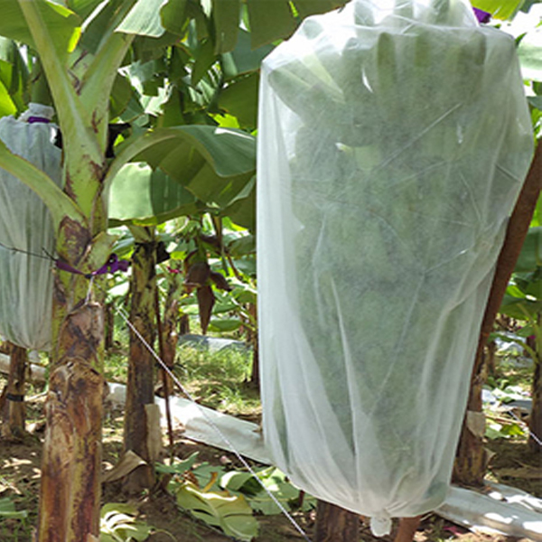 Vlowene Pflanzenbedeckung Bananenbeutel Gartenstoff Stoff