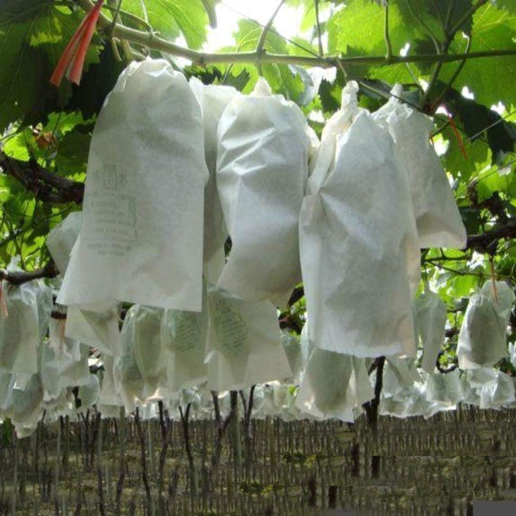 Vlowene Pflanzenbedeckung Bananenbeutel Gartenstoff Stoff
